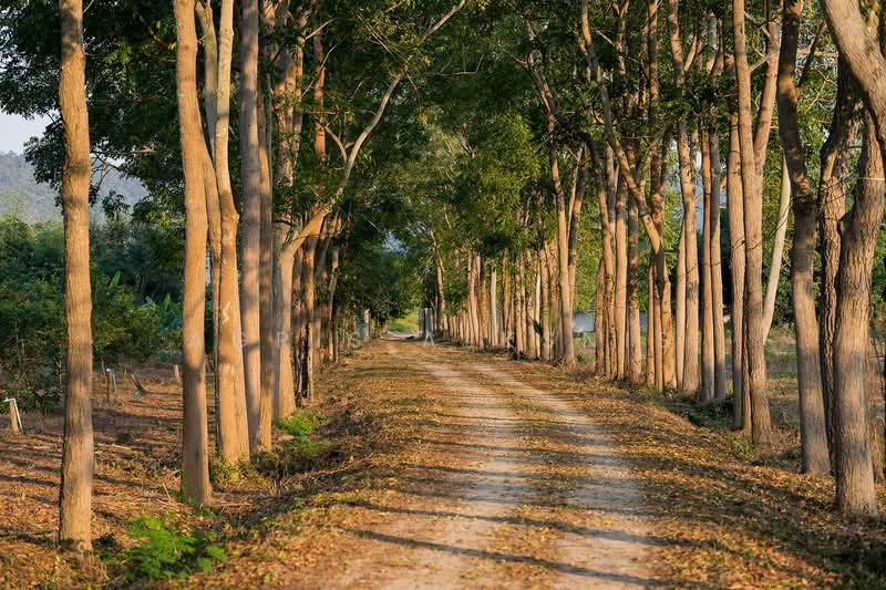ขาย - ที่ดินรีสอร์ท 20 ไร่ หรือ ที่ดินส่วนตัว, กาญจนบุรี