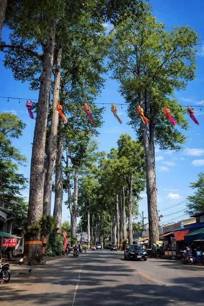 หนองผึ้ง, เชียงใหม่, หนองผึ้ง, สารภี, เชียงใหม่, 154 ตร.ม., บ้านเดี่ยว ขาย, โดย เกศินี อมาตยกุล, 500249103 - DDproperty.com