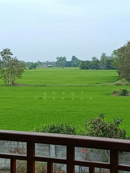 บวกค้าง, Chiang Mai, Buak Sang, San Kamphaeng, Chiang Mai, 3 Bedrooms, 300 sqm, Single Detached House For Sale, by สุดสมร กล่อมน้อย, 500249111 - DDproperty.com