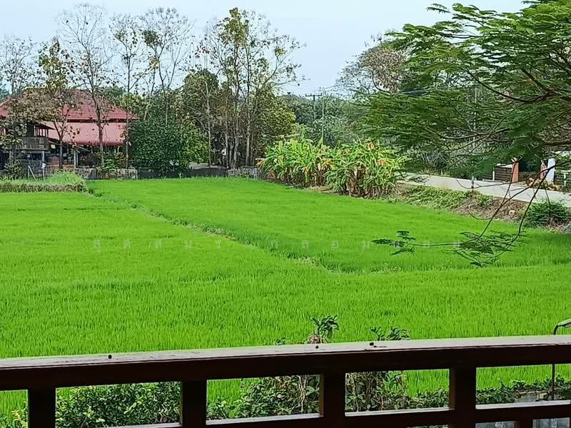 บวกค้าง, เชียงใหม่, บวกค้าง, สันกำแพง, เชียงใหม่, 300 ตร.ม., บ้านเดี่ยว ขาย, โดย สุดสมร กล่อมน้อย, 500249111 - DDproperty.com