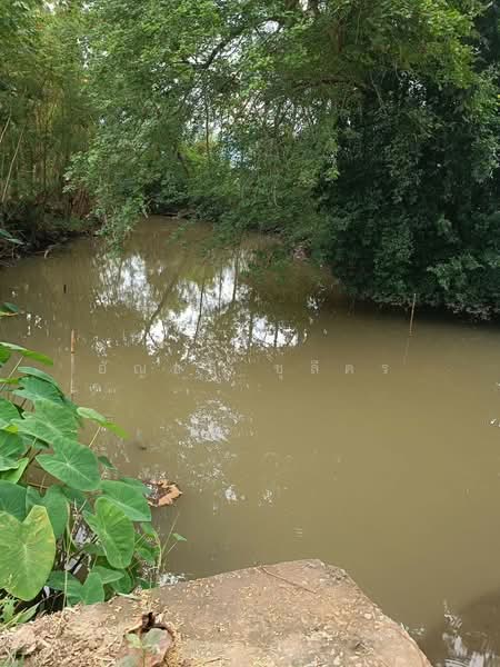 นาป่า, เพชรบูรณ์, นาป่า, เมืองเพชรบูรณ์, เพชรบูรณ์, 4,680 ตร.ม., ที่ดิน ขาย, โดย อัญชลี ชุลีคร, 500249113 - DDproperty.com