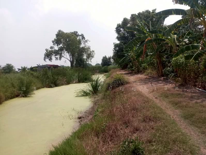 แสนแสบ, Bangkok, Saen Sab, Min Buri, Bangkok, , 14,752 sqm, Land For Sale, by ณฐาภพ ดลปัญญาเลิศ, 500249137 - DDproperty.com