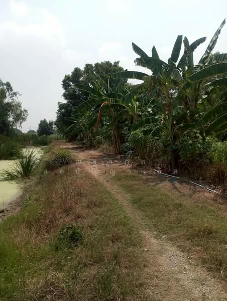 แสนแสบ, กรุงเทพ, แสนแสบ, มีนบุรี, กรุงเทพ, 14,752 ตร.ม., ที่ดิน ขาย, โดย ณฐาภพ ดลปัญญาเลิศ, 500249137 - DDproperty.com