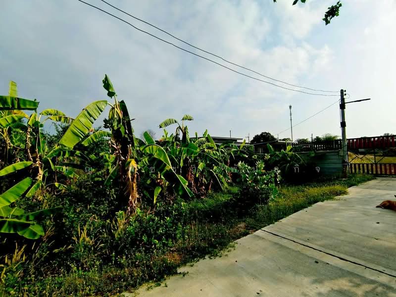 For Sale - หัวถนน, Chon Buri (Pattaya)