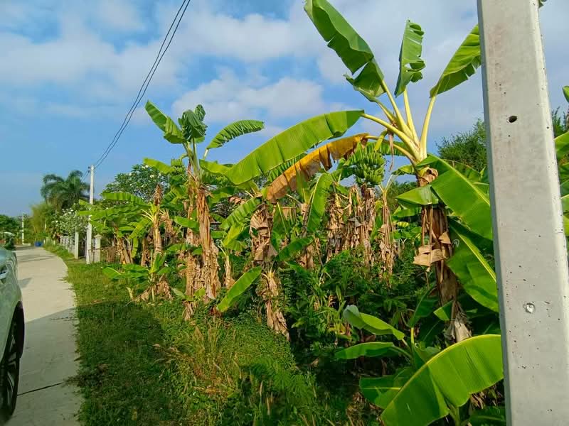 For Sale - หัวถนน, Chon Buri (Pattaya)