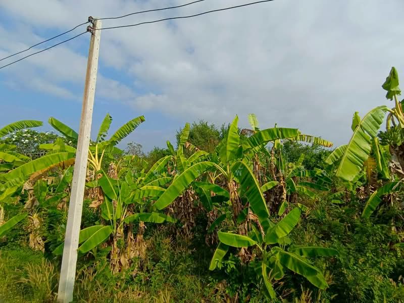 For Sale - หัวถนน, Chon Buri (Pattaya)