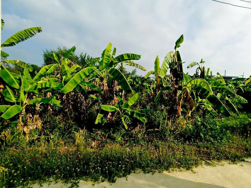 For Sale - หัวถนน, Chon Buri (Pattaya)