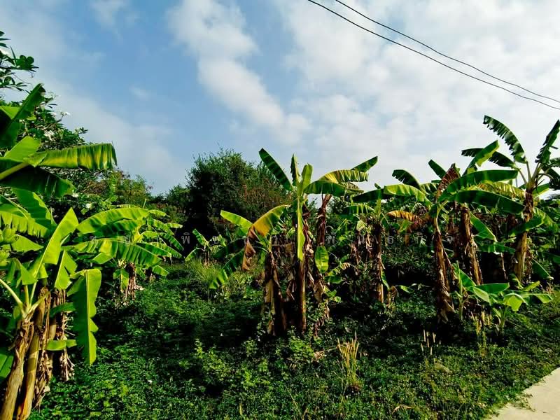 For Sale - หัวถนน, Chon Buri (Pattaya)