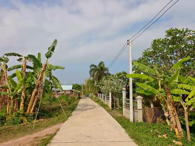 For Sale - หัวถนน, Chon Buri (Pattaya)