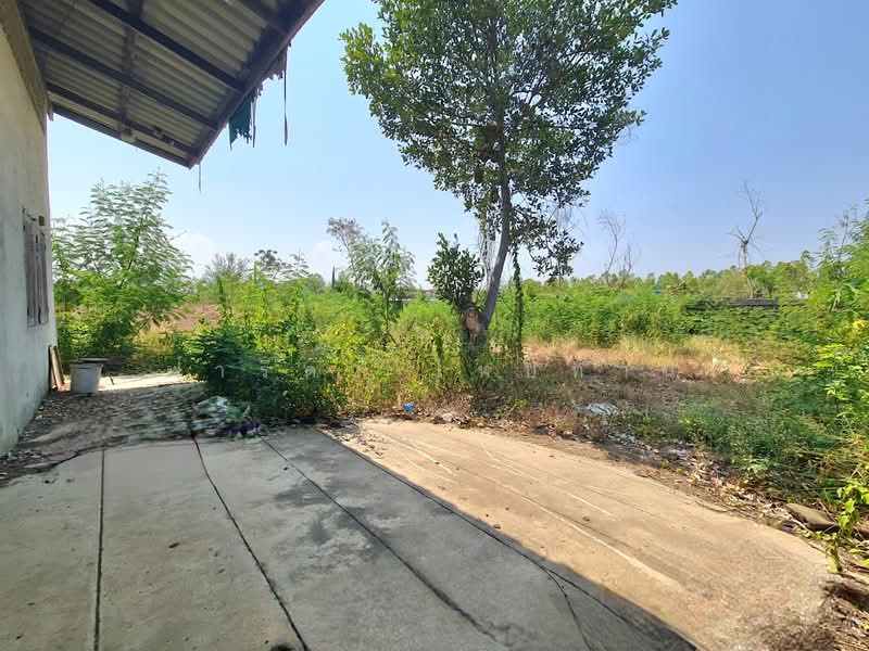 ขายที่ดินปราณบุรี ประจวบคีรีขันธ์ เนื้อที่ 399.4 ตร.ว. ใกล้ถนนเพชรเกษม, ประจวบคีรีขันธ์, เขาน้อย, ปราณบุรี, ประจวบคีรีขันธ์, 1,596 ตร.ม., ที่ดิน ขาย, โดย ฟารีดา ไทปทาน, 500249184 - DDproperty.com
