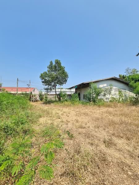 Land for sale in Pranburi, Prachuap Khiri Khan, 399.4 sq.w., near Phetkasem Road, Prachuap Khiri Khan, Khao Noi, Pran Buri, Prachuap Khiri Khan, , 1,596 sqm, Land For Sale, by Fareeda Thaipatan, 500249184 - DDproperty.com