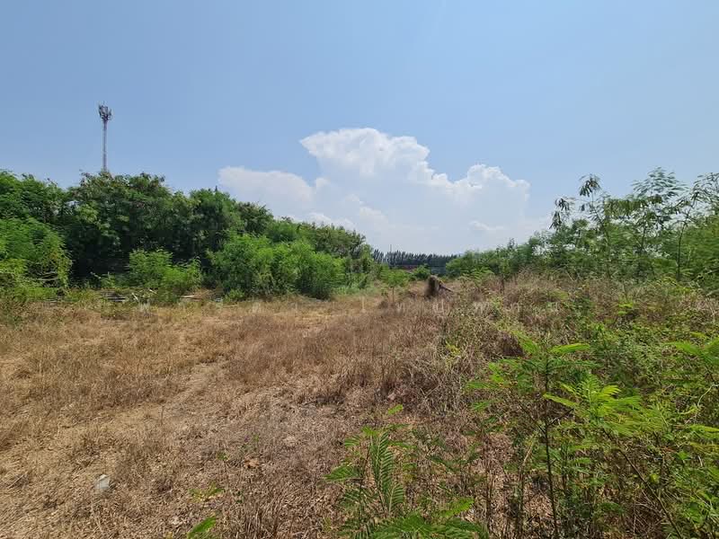 Land for sale in Pranburi, Prachuap Khiri Khan, 399.4 sq.w., near Phetkasem Road, Prachuap Khiri Khan, Khao Noi, Pran Buri, Prachuap Khiri Khan, , 1,596 sqm, Land For Sale, by Fareeda Thaipatan, 500249184 - DDproperty.com