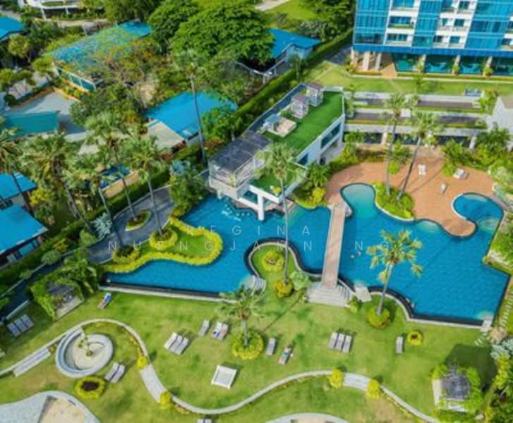 The Palm Wongamat Beach : เดอะ ปาล์ม วงศ์อมาตย์, ชลบุรี, ถนน ซอย นาเกลือ 16, นาเกลือ, บางละมุง, ชลบุรี, 33 ตร.ม., คอนโด ขาย, โดย Regina Nuengjamnong, 500249187 - DDproperty.com