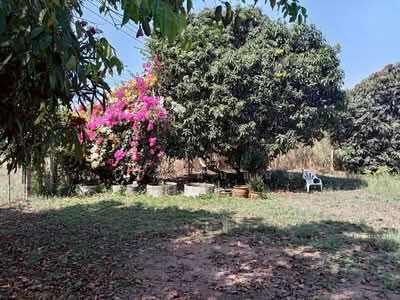 ขาย - อ่างหิน, ราชบุรี