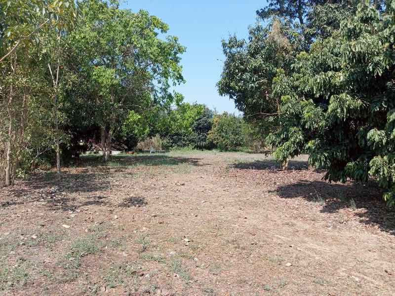 อ่างหิน, Ratchaburi, Ang Hin, Pak Tho, Ratchaburi, , 10,232 sqm, Land For Sale, by จารวี มั่นสินธร, 500249221 - DDproperty.com