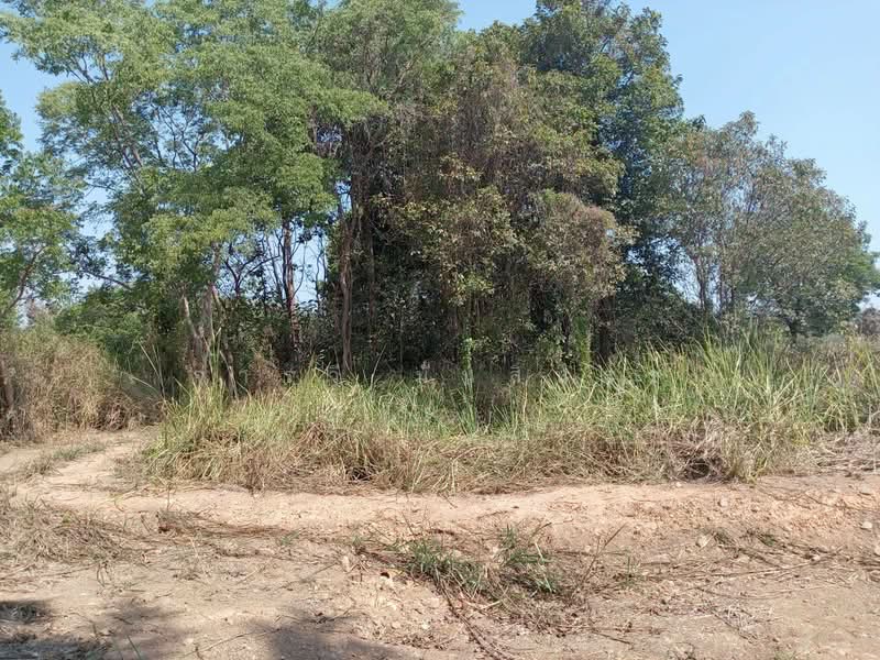 อ่างหิน, Ratchaburi, Ang Hin, Pak Tho, Ratchaburi, , 10,232 sqm, Land For Sale, by จารวี มั่นสินธร, 500249221 - DDproperty.com