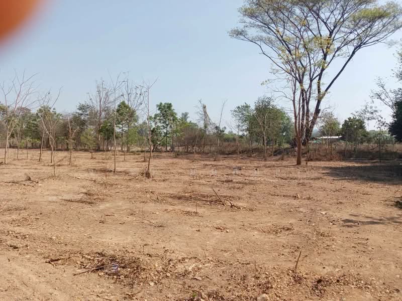 อ่างหิน, Ratchaburi, Ang Hin, Pak Tho, Ratchaburi, , 10,232 sqm, Land For Sale, by จารวี มั่นสินธร, 500249221 - DDproperty.com