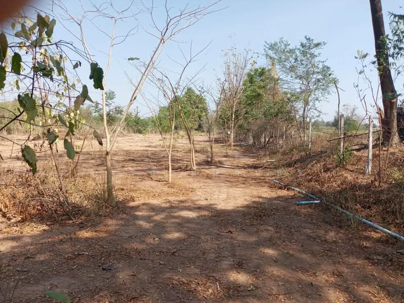 อ่างหิน, ราชบุรี, อ่างหิน, ปากท่อ, ราชบุรี, 10,232 ตร.ม., ที่ดิน ขาย, โดย จารวี มั่นสินธร, 500249221 - DDproperty.com