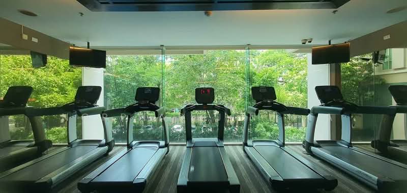 The Address Chidlom, Bangkok, Ploenchit Road, Lumphini, Pathum Wan, Bangkok, Studio, 38 sqm, Condo For Rent, by Noppharuj Nunta, 500249227 - DDproperty.com
