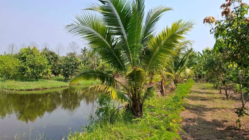 คลองโยง, Nakhon Pathom, Khlong Yong, Phuttha Mon Thon, Nakhon Pathom, , 3,200 sqm, Land For Sale, by จิรุตถ์ พานิช, 500249259 - DDproperty.com