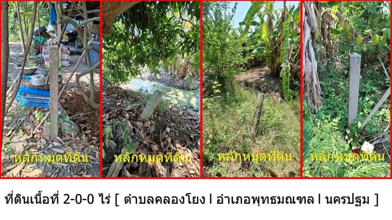 คลองโยง, นครปฐม, คลองโยง, พุทธมณฑล, นครปฐม, 3,200 ตร.ม., ที่ดิน ขาย, โดย จิรุตถ์ พานิช, 500249259 - DDproperty.com