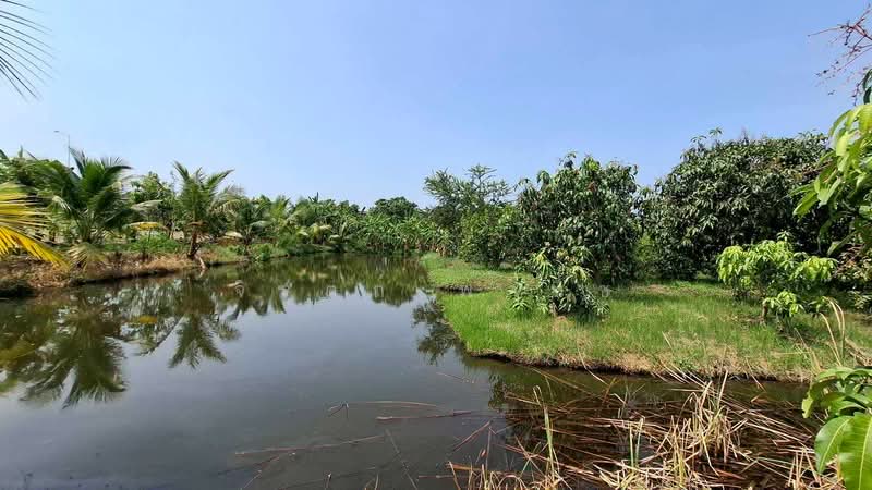 คลองโยง, Nakhon Pathom, Khlong Yong, Phuttha Mon Thon, Nakhon Pathom, , 3,200 sqm, Land For Sale, by จิรุตถ์ พานิช, 500249259 - DDproperty.com