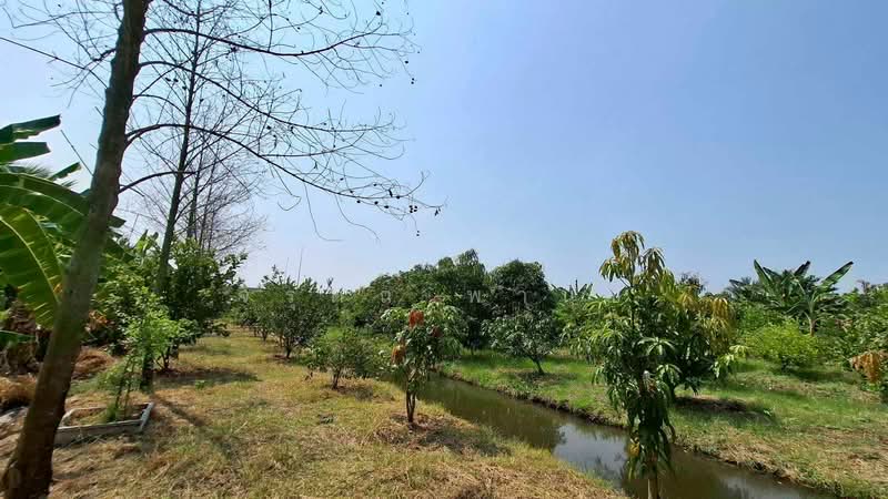 คลองโยง, นครปฐม, คลองโยง, พุทธมณฑล, นครปฐม, 3,200 ตร.ม., ที่ดิน ขาย, โดย จิรุตถ์ พานิช, 500249259 - DDproperty.com