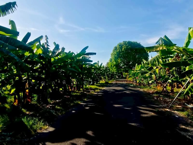 หนองแขม, กรุงเทพ, หนองแขม, หนองแขม, กรุงเทพ, 5,332 ตร.ม., ที่ดิน ขาย, โดย ชญาพิชชา พันธกิจ, 500249278 - DDproperty.com