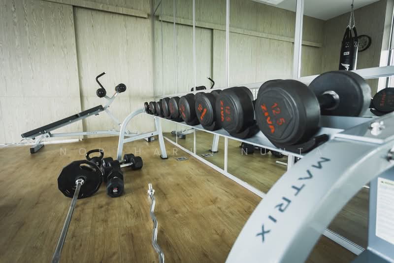 M Thonglor 10, Bangkok, 9 Soi Ekkamai 12, Ekkamai Road, Khlong Tan Nua, Watthana, Bangkok, 1 Bedroom, 31 sqm, Condo For Sale, by Noppharuj Nunta, 500249347 - DDproperty.com