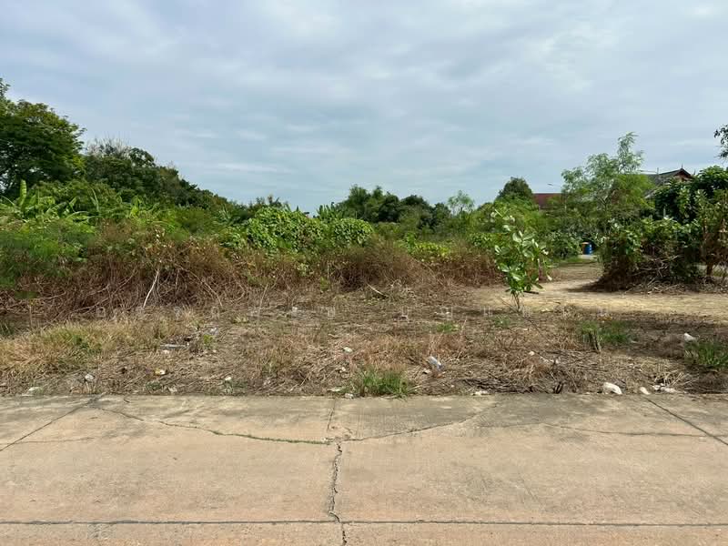 บางม่วง, Nonthaburi, Bang Muang, Bang Yai, Nonthaburi, , 2,376 sqm, Land For Sale, by อรรถพงษ์ บุญแหน้น, 500249396 - DDproperty.com