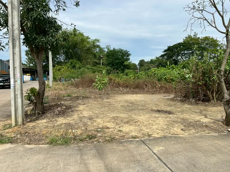 บางม่วง, Nonthaburi, Bang Muang, Bang Yai, Nonthaburi, , 2,376 sqm, Land For Sale, by อรรถพงษ์ บุญแหน้น, 500249396 - DDproperty.com
