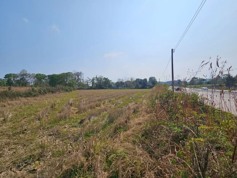 โป่งแพร่, เชียงราย, โป่งแพร่, แม่ลาว, เชียงราย, 31,060 ตร.ม., ที่ดิน ขาย, โดย เกศินี อมาตยกุล, 500249433 - DDproperty.com