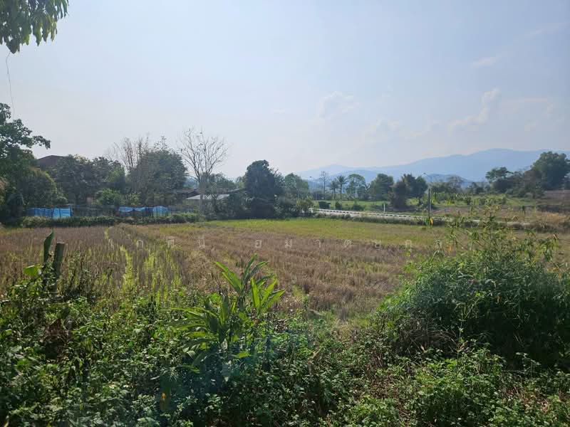 โป่งแพร่, เชียงราย, โป่งแพร่, แม่ลาว, เชียงราย, 31,060 ตร.ม., ที่ดิน ขาย, โดย เกศินี อมาตยกุล, 500249433 - DDproperty.com