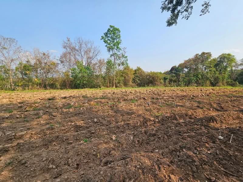 โป่งแพร่, เชียงราย, โป่งแพร่, แม่ลาว, เชียงราย, 31,060 ตร.ม., ที่ดิน ขาย, โดย เกศินี อมาตยกุล, 500249433 - DDproperty.com