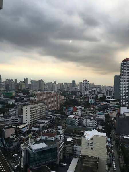 Siri At Sukhumvit : สิริ แอท สุขุมวิท, กรุงเทพ, 902 สุขุมวิท, พระโขนง, คลองเตย, กรุงเทพ, 75 ตร.ม., คอนโด ให้เช่า, โดย Piyawan Maiyapan, 500249526 - DDproperty.com