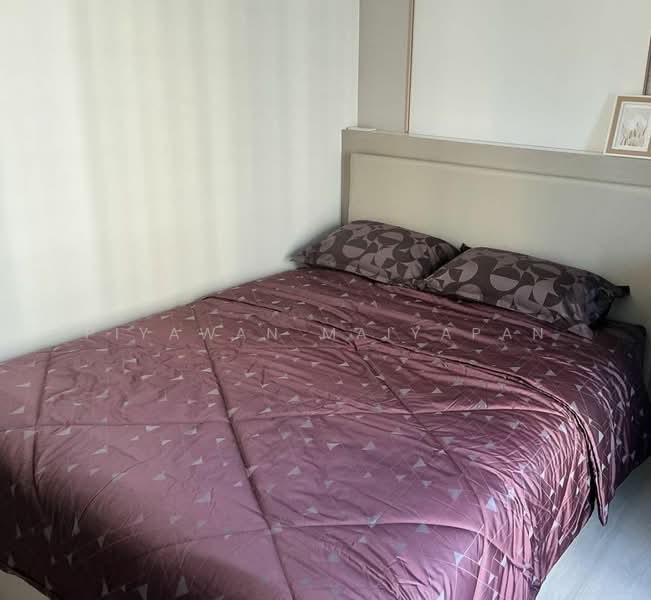 Aspire Onnut Station, Bangkok, Sukhumvit Road, Phra Kanong, Khlong Toei, Bangkok, 1 Bedroom, 31 sqm, Condo For Rent, by Piyawan Maiyapan, 500249570 - DDproperty.com