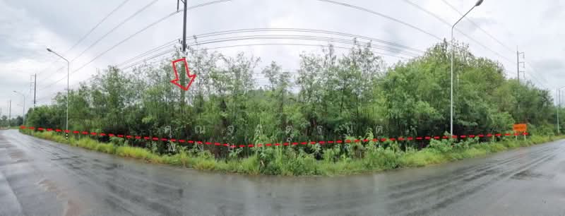 สวนสันติวนา ตำบลทรายขาว อำเภอสอยดาว จังหวัดจันทบุรี, Chanthaburi, จันทบุรี-สระแก้ว, Sai Khao, Soydow, Chanthaburi, , 499,912 sqm, Land For Sale, by คุณจาตุรนต์ พงษ์สุโรจน์, 500249616 - DDproperty.com