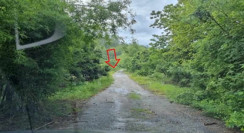 สวนสันติวนา ตำบลทรายขาว อำเภอสอยดาว จังหวัดจันทบุรี, Chanthaburi, จันทบุรี-สระแก้ว, Sai Khao, Soydow, Chanthaburi, , 499,912 sqm, Land For Sale, by คุณจาตุรนต์ พงษ์สุโรจน์, 500249616 - DDproperty.com