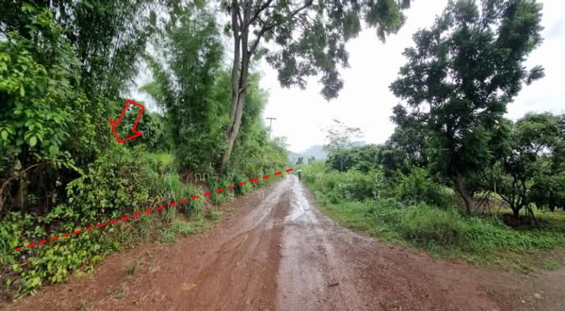 สวนสันติวนา ตำบลทรายขาว อำเภอสอยดาว จังหวัดจันทบุรี, จันทบุรี, จันทบุรี-สระแก้ว, ทรายขาว, สอยดาว, จันทบุรี, 499,912 ตร.ม., ที่ดิน ขาย, โดย คุณจาตุรนต์ พงษ์สุโรจน์, 500249616 - DDproperty.com