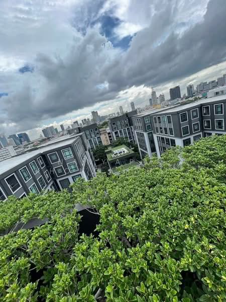 Maestro 19 Ratchada 19-Vipha, Bangkok, Soi Vibhavadi Rangsit 16, Din Daeng, Din Daeng, Bangkok, 1 Bedroom, 30 sqm, Condo For Rent, by Nanyapak Khongkiattipan, 500249725 - DDproperty.com