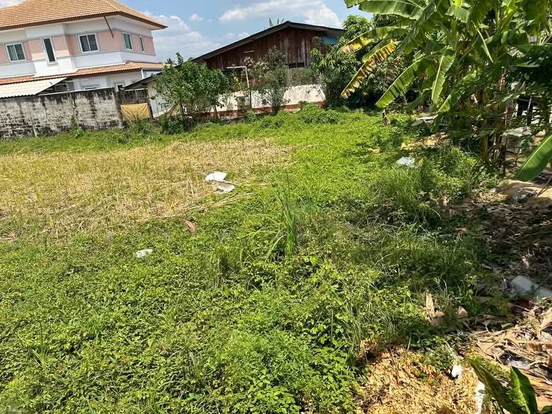 บางกระทึก, Nakhon Pathom, Bang Krathuk, Sam Phran, Nakhon Pathom, , 408 sqm, Land For Sale, by สุรชาติ สรสุชาติ, 500249754 - DDproperty.com