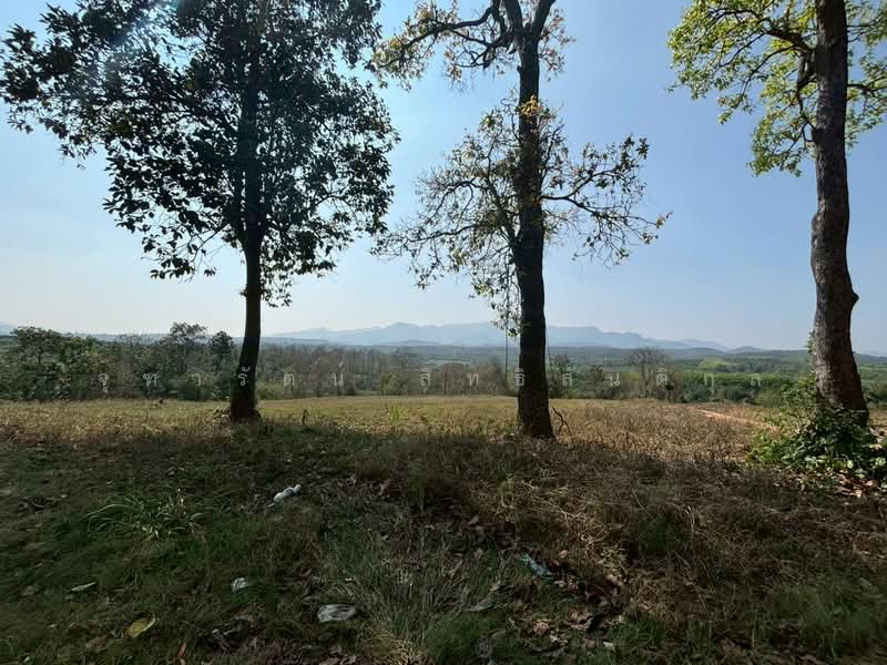 แม่ปั๋ง, Chiang Mai, Mae Pang, Phrao, Chiang Mai, , 24,944 sqm, Land For Sale, by จุฑารัตน์ สิทธิสันติกุล, 500249786 - DDproperty.com