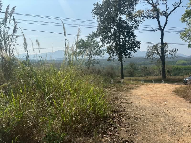 แม่ปั๋ง, Chiang Mai, Mae Pang, Phrao, Chiang Mai, , 24,944 sqm, Land For Sale, by จุฑารัตน์ สิทธิสันติกุล, 500249786 - DDproperty.com