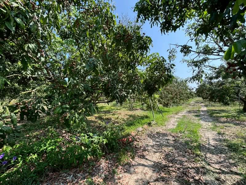 สบแม่ข่า, Chiang Mai, Sop Mae Kha, Hang Dong, Chiang Mai, , 20,052 sqm, Land For Sale, by จุฑารัตน์ สิทธิสันติกุล, 500249798 - DDproperty.com