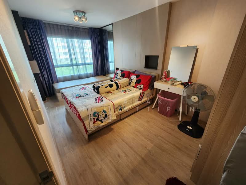 Elio Del Ray, Bangkok, 95 Sukhumvit 64 Road, Bang Chak, Phra Khanong, Bangkok, 1 Bedroom, 34 sqm, Condo For Rent, by Nanyapak Khongkiattipan, 500249824 - DDproperty.com