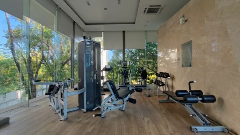 The Grand Pinklao : เดอะ แกรนด์ ปิ่นเกล้า, กรุงเทพ, 594 ถนน บรมราชชนนี, ศาลาธรรมสพน์, ทวีวัฒนา, กรุงเทพ, 475 ตร.ม., บ้านเดี่ยว ขาย, โดย สุชาติ ปรีชา, 500249900 - DDproperty.com