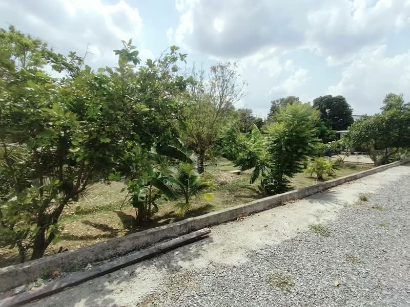 บางเลน, Nonthaburi, Bang Len, Bang Yai, Nonthaburi, , 3,344 sqm, Land For Sale, by นรรฐภรณ์ เสริมการวานิชย์, 500249927 - DDproperty.com