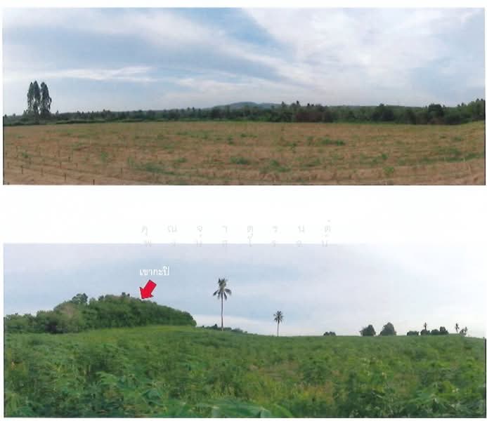 เอเชียนยู ตำบลห้วยใหญ่ อำเภอบางละมุง จังหวัดชลบุรี 20150, Chon Buri (Pattaya), Huai Yai, Bang Lamung (Pattaya), Chon Buri (Pattaya), , 581,168 sqm, Land For Sale, by คุณจาตุรนต์ พงษ์สุโรจน์, 500250027 - DDproperty.com