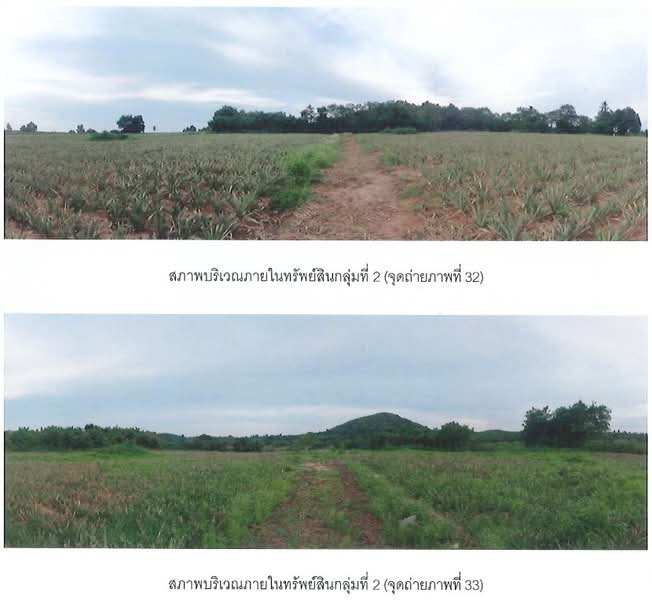 เอเชียนยู ตำบลห้วยใหญ่ อำเภอบางละมุง จังหวัดชลบุรี 20150, Chon Buri (Pattaya), Huai Yai, Bang Lamung (Pattaya), Chon Buri (Pattaya), , 581,168 sqm, Land For Sale, by คุณจาตุรนต์ พงษ์สุโรจน์, 500250027 - DDproperty.com