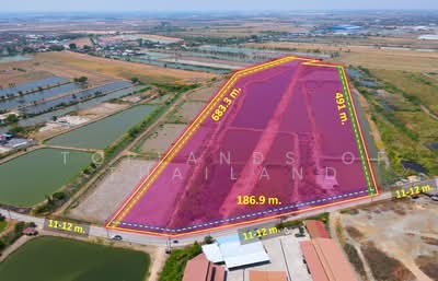 ขาย - ขาย ที่ดิน บางบ่อ จ.สมุทรปราการ ถนนบานา-ตราด เนื้อที่ 60 ไร่ เหมาะสร้าง โรงงาน โกดัง และคลังสินค้า, สมุทรปราการ